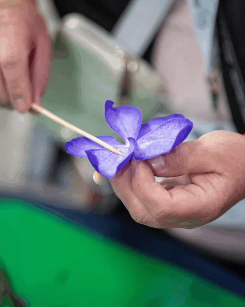 FleurEx