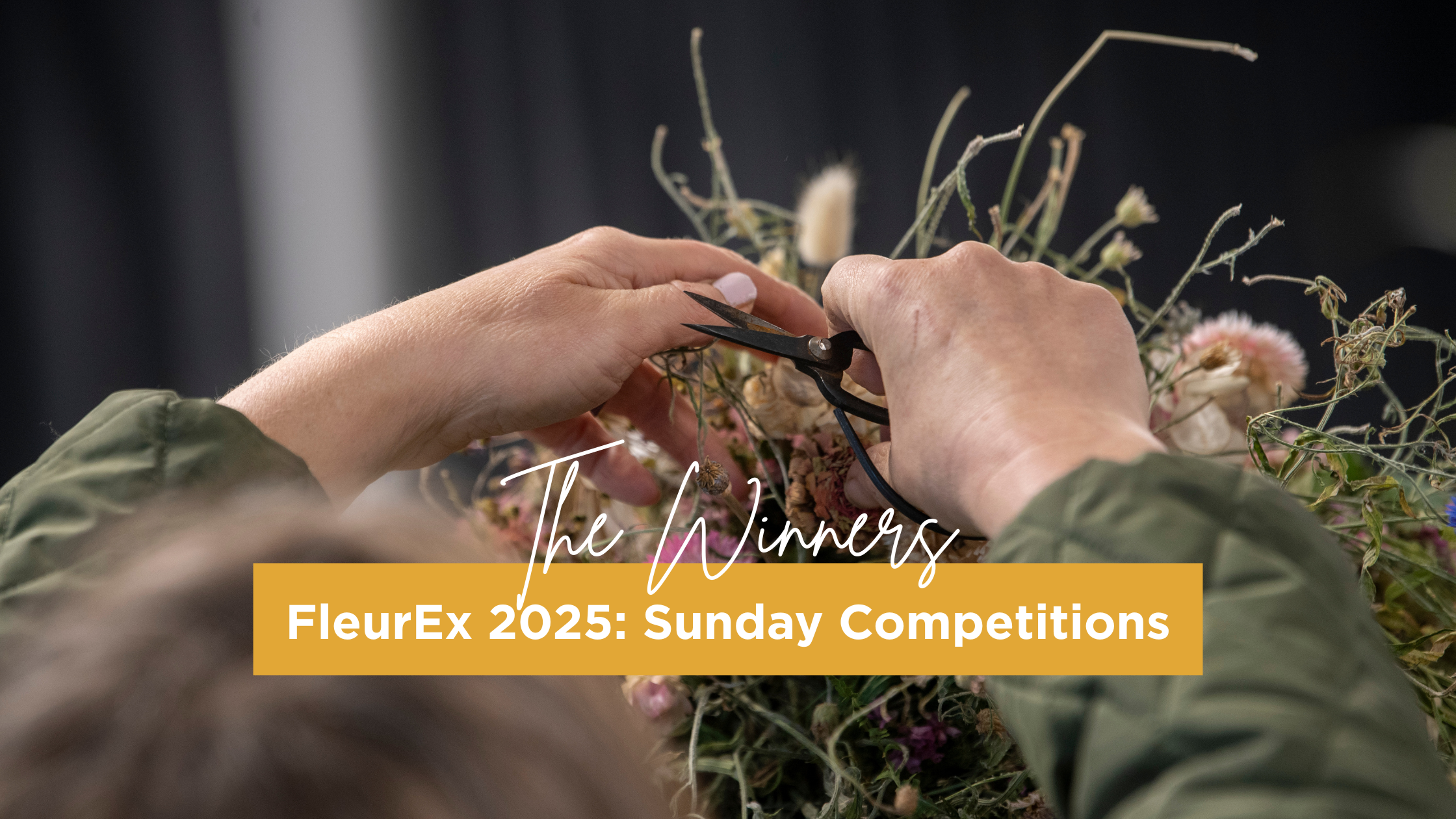 FleurEx competition