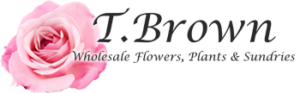Tom Brown Wholesale