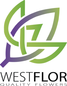 Westflor